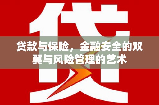 尖石贷款与保险，金融安全的双翼与风险管理的艺术
