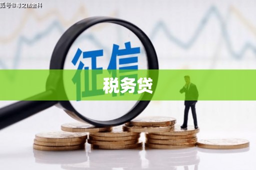 尖石税务贷