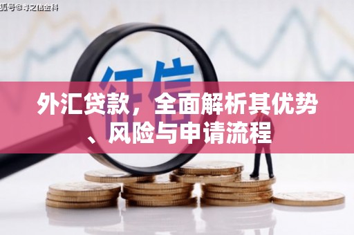 尖石外汇贷款，全面解析其优势、风险与申请流程