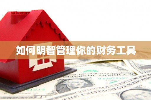 尖石如何明智管理你的财务工具