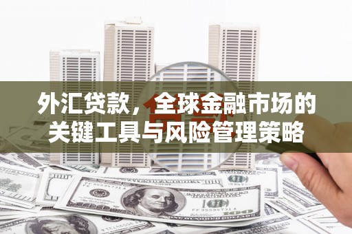 尖石外汇贷款，全球金融市场的关键工具与风险管理策略