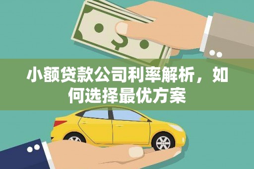 尖石小额贷款公司利率解析，如何选择最优方案