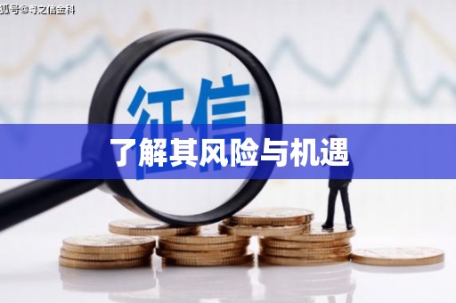 尖石了解其风险与机遇