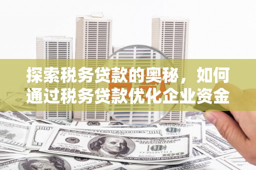 尖石探索税务贷款的奥秘，如何通过税务贷款优化企业资金流