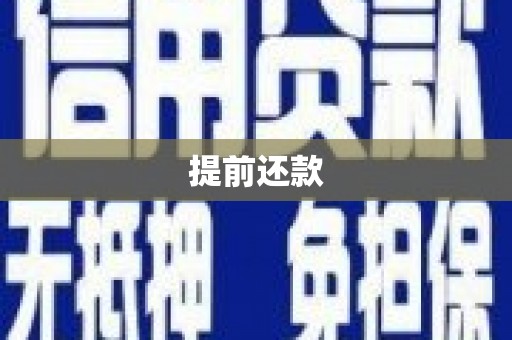 尖石提前还款