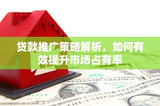 尖石贷款推广策略解析，如何有效提升市场占有率