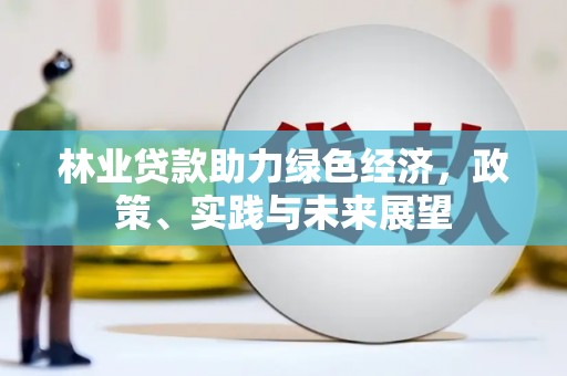 尖石林业贷款助力绿色经济，政策、实践与未来展望