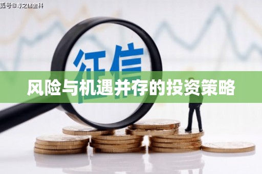尖石风险与机遇并存的投资策略