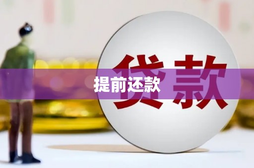 尖石提前还款