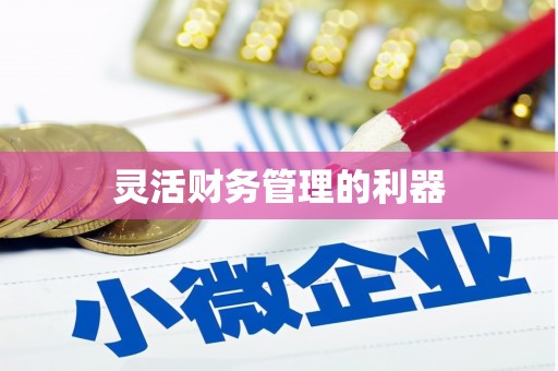 尖石灵活财务管理的利器