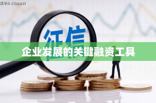 尖石企业发展的关键融资工具