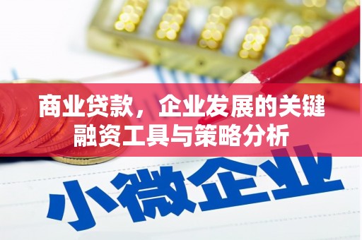尖石商业贷款，企业发展的关键融资工具与策略分析