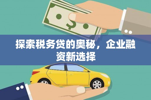 尖石探索税务贷的奥秘，企业融资新选择