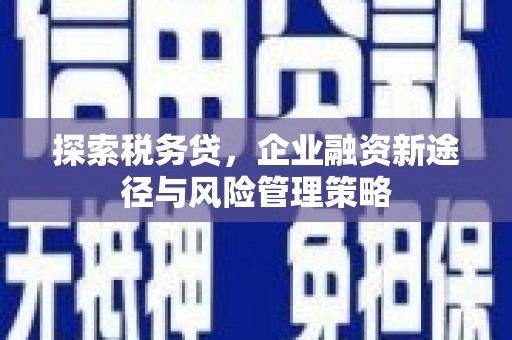 尖石探索税务贷，企业融资新途径与风险管理策略