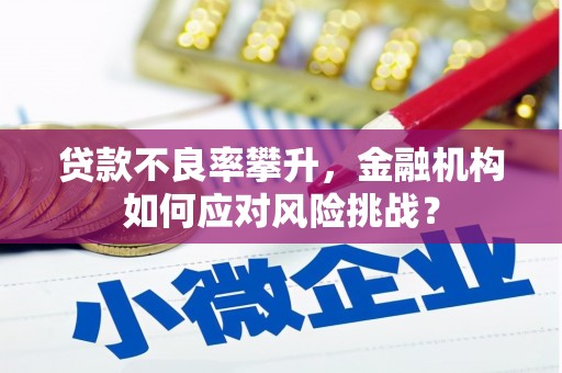 尖石贷款不良率攀升，金融机构如何应对风险挑战？