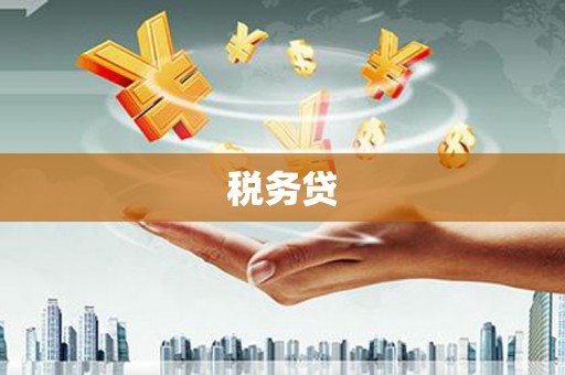 尖石税务贷
