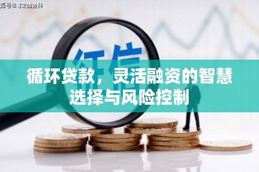 尖石循环贷款，灵活融资的智慧选择与风险控制