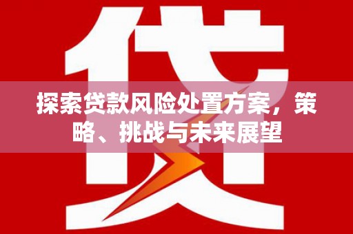 尖石探索贷款风险处置方案，策略、挑战与未来展望
