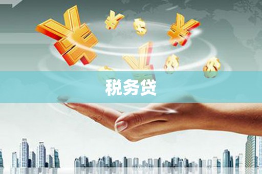 尖石税务贷
