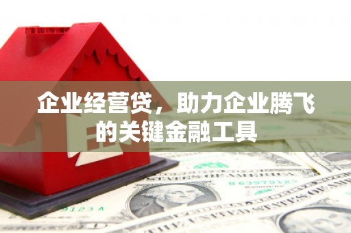 尖石企业经营贷，助力企业腾飞的关键金融工具