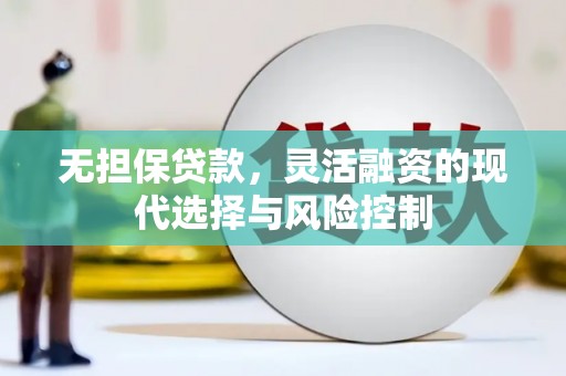 尖石无担保贷款，灵活融资的现代选择与风险控制