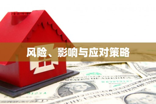 尖石风险、影响与应对策略