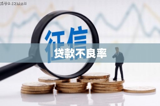 尖石贷款不良率