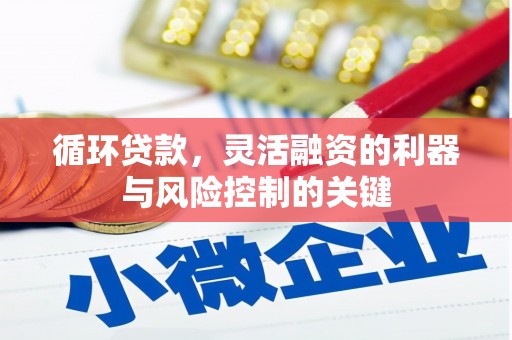 尖石循环贷款，灵活融资的利器与风险控制的关键