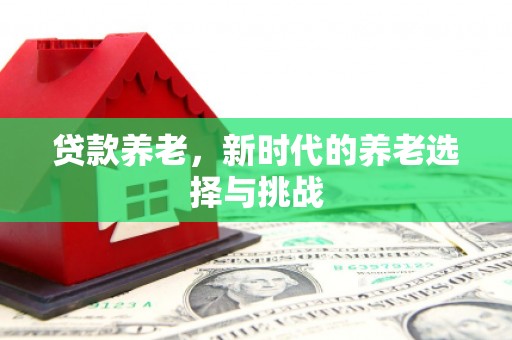 尖石贷款养老，新时代的养老选择与挑战