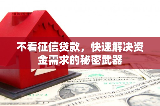 尖石不看征信贷款，快速解决资金需求的秘密武器