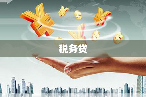 尖石税务贷