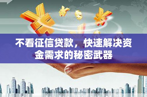 尖石不看征信贷款，快速解决资金需求的秘密武器