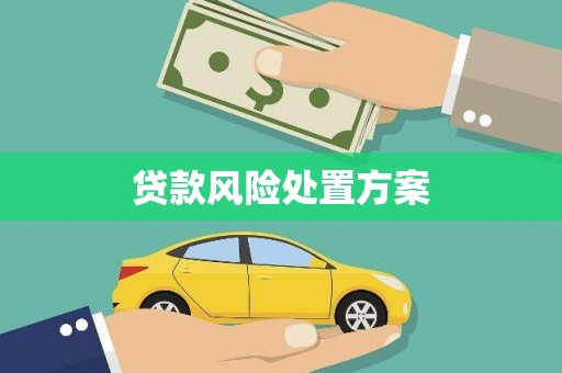 尖石贷款风险处置方案