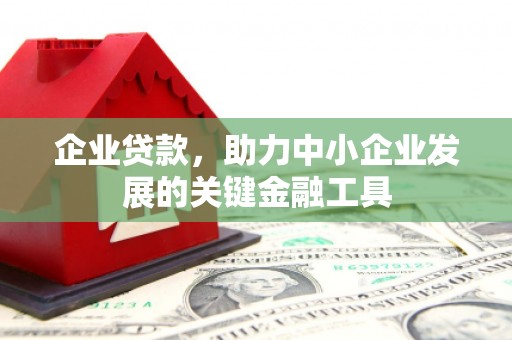 尖石企业贷款，助力中小企业发展的关键金融工具