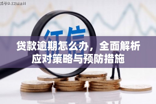 尖石贷款逾期怎么办，全面解析应对策略与预防措施