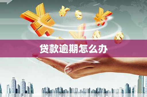 尖石贷款逾期怎么办