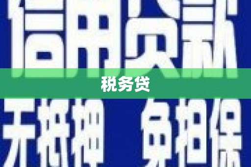 尖石税务贷