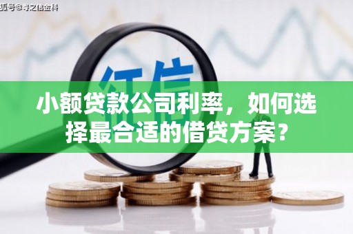 尖石小额贷款公司利率，如何选择最合适的借贷方案？