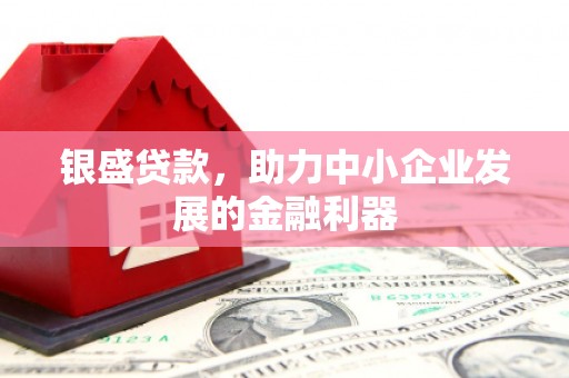 尖石银盛贷款，助力中小企业发展的金融利器