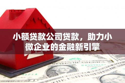 尖石小额贷款公司贷款，助力小微企业的金融新引擎