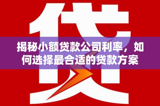 尖石揭秘小额贷款公司利率，如何选择最合适的贷款方案