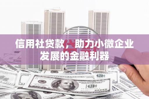 尖石信用社贷款，助力小微企业发展的金融利器