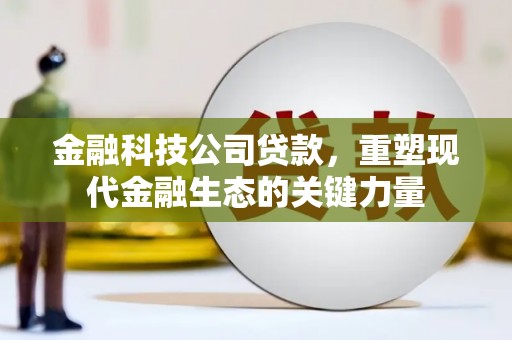 尖石金融科技公司贷款，重塑现代金融生态的关键力量
