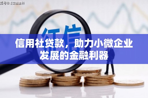 尖石信用社贷款，助力小微企业发展的金融利器