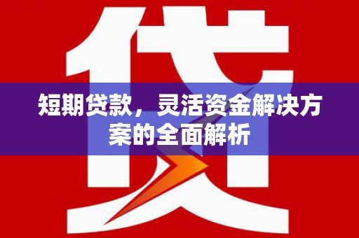 尖石短期贷款，灵活资金解决方案的全面解析
