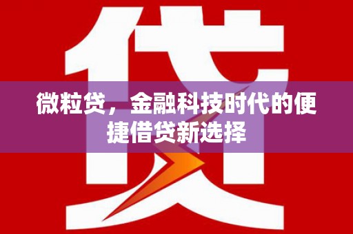 尖石微粒贷，金融科技时代的便捷借贷新选择