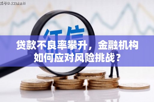 尖石贷款不良率攀升，金融机构如何应对风险挑战？