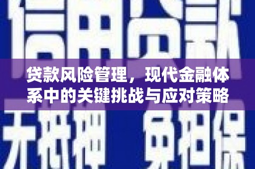 尖石贷款风险管理，现代金融体系中的关键挑战与应对策略