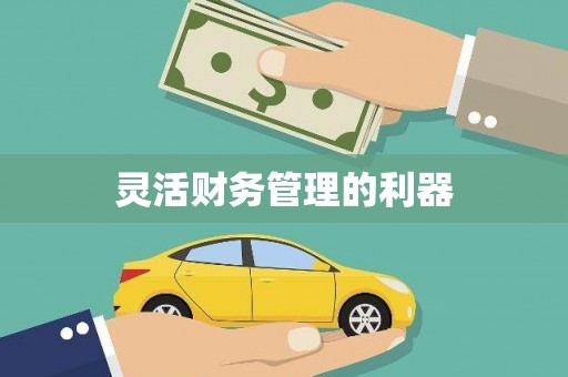 尖石灵活财务管理的利器