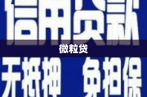尖石微粒贷